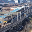 G3914 이미지