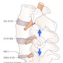 카이로프랙틱 이미지