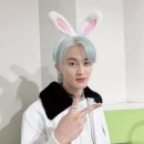 피터팬피자 이미지