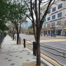 광덕산로 이미지