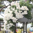 진주시청 이미지