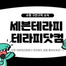 세븐테라피 이미지