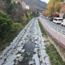 창원 산호천 경남신문
