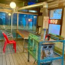 분향동길 | 향동맛집 넓은 주차장이 있는 메밀막국수와 왕갈비