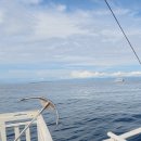 배들약국 이미지