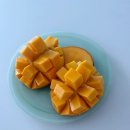 신안댁 | 내돈내산] “신안댁 애플망고” 후기🥭 (완전추천..♡⁼³)