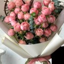 피오리스튜디오