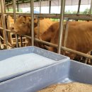 서당골농장 이미지