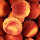 강산부동산공인중개사사무소 이미지