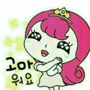 다님 이미지