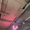 바디소나타 이미지