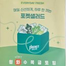 마카로니홈 | 다이어트OK 홈파티요리OK 정기배송되는 저당도시락 포켓샐러드 세 가지 후기