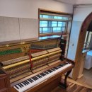 아람유치원 이미지