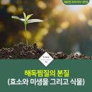 테르엔 이미지