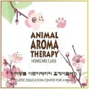 더힐테라피센터 이미지