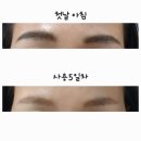 몬스터팩토리 | 셀프 눈썹문신 몬스터팩토리 롱킬 눈썹타투펜 내돈내산 후기