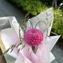 키라카라플라워 | 왕십리 꽃집 | 키라카라 플라워 미니 꽃다발 / 한송이 꽃다발 후기