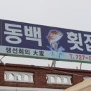동백횟집 - 신안군 삼층석탑길 449 | 동백횟집