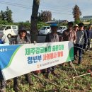 제주감귤농업협동조합중문지점 이미지