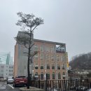 푸름피크닉 이미지