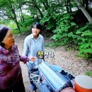 친애하는나의식물씨