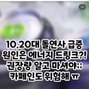 넷크럽 | 2025 월간 블로그 #5