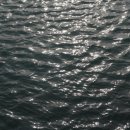 호두마루 캠핑 이미지