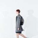 ALK 이미지
