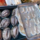 충남 보령 대천 맛집 전복구이 해물삼합 해물상회