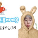 신비로-11 이미지