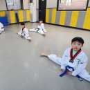 (푸른)현무태권도장 이미지