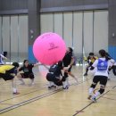 신탄진고등학교 이미지