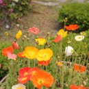 천안대로 이미지