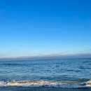 오일사