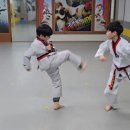 연성태권도장 이미지
