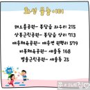 행정리 527-1 이미지