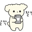 팔도국밥 경산사동점 이미지