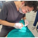 밝은결치과의원 | [밝은결치과의원]임신 중 잇몸 출혈 관리를 위한 효과적인 방법