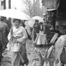 1959년 4월14일 비가 내리는 광화문 이미지