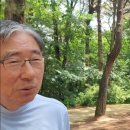 탄금대로 R 이미지