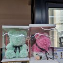 개냥이아울렛 이미지