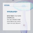 골드인스킨 이미지
