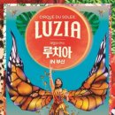 루치아 티스토리