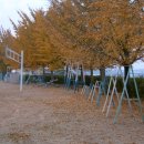 예덕초등학교 이미지