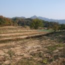 옥천농장 이미지