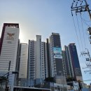 롯데캐슬아파트 버스정류장 이미지