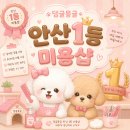 댕글 몽글 네이버블로그