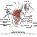 올곧은한의원 이미지