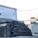 라이언모터스 이미지