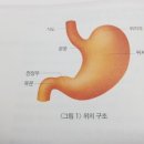 유문